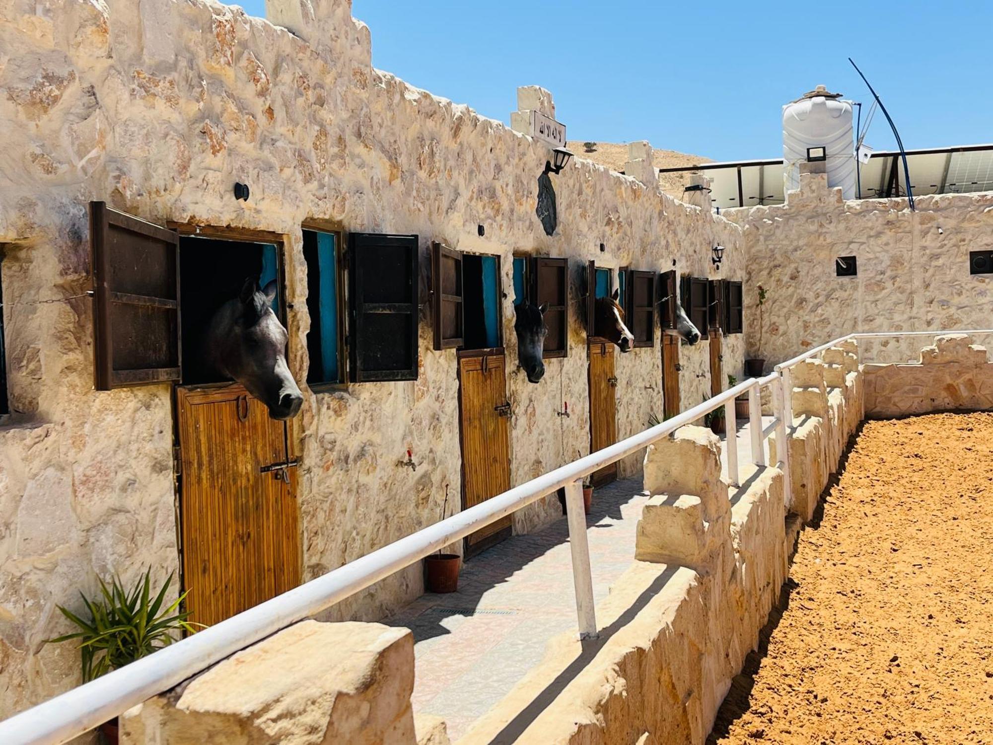 Petra Royal Ranch Bed & Breakfast Wadi Musa Bagian luar foto